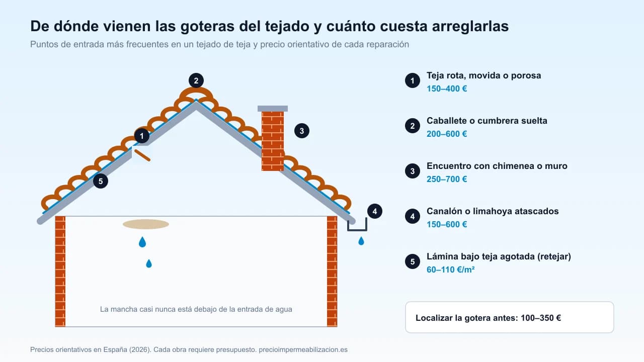 Sección de un tejado de teja con los puntos donde se originan las goteras y el precio orientativo de cada reparación